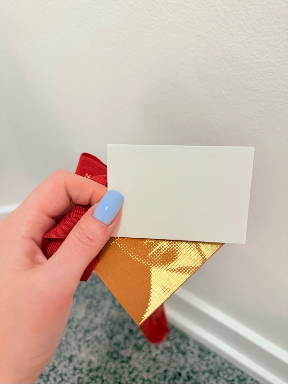 Louis Vuitton authentic louis